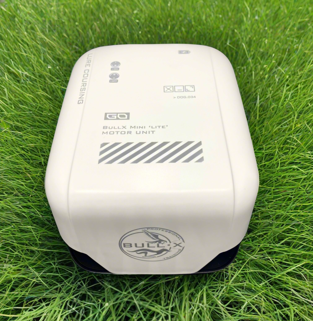 BullX Mini Lite