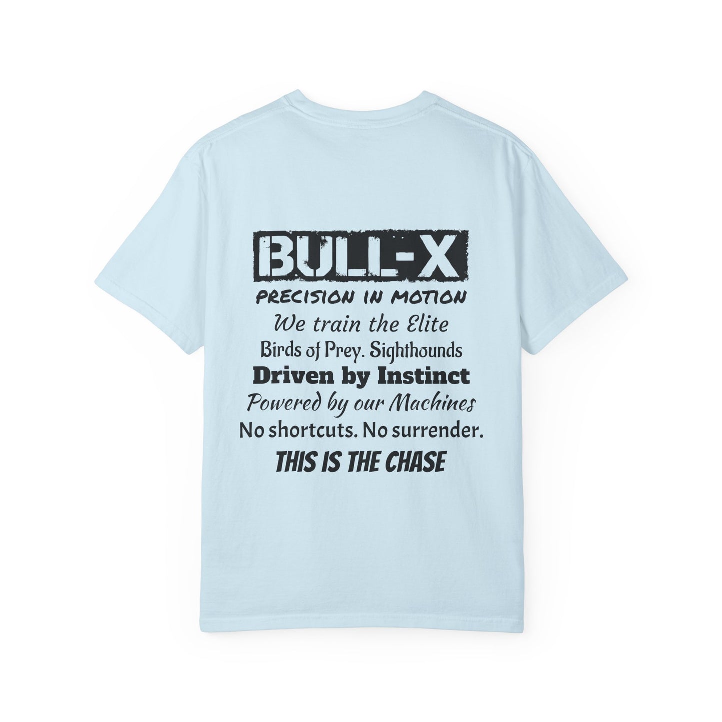 Description Unisex T-Shirt - Precision in Motion
