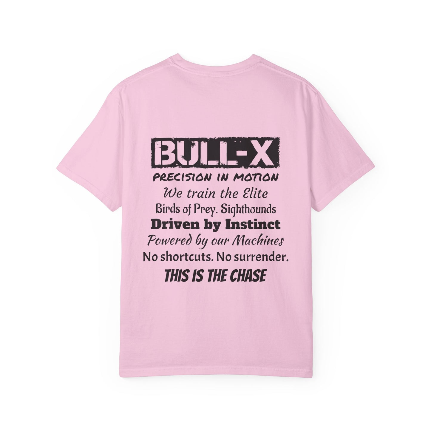 Description Unisex T-Shirt - Precision in Motion