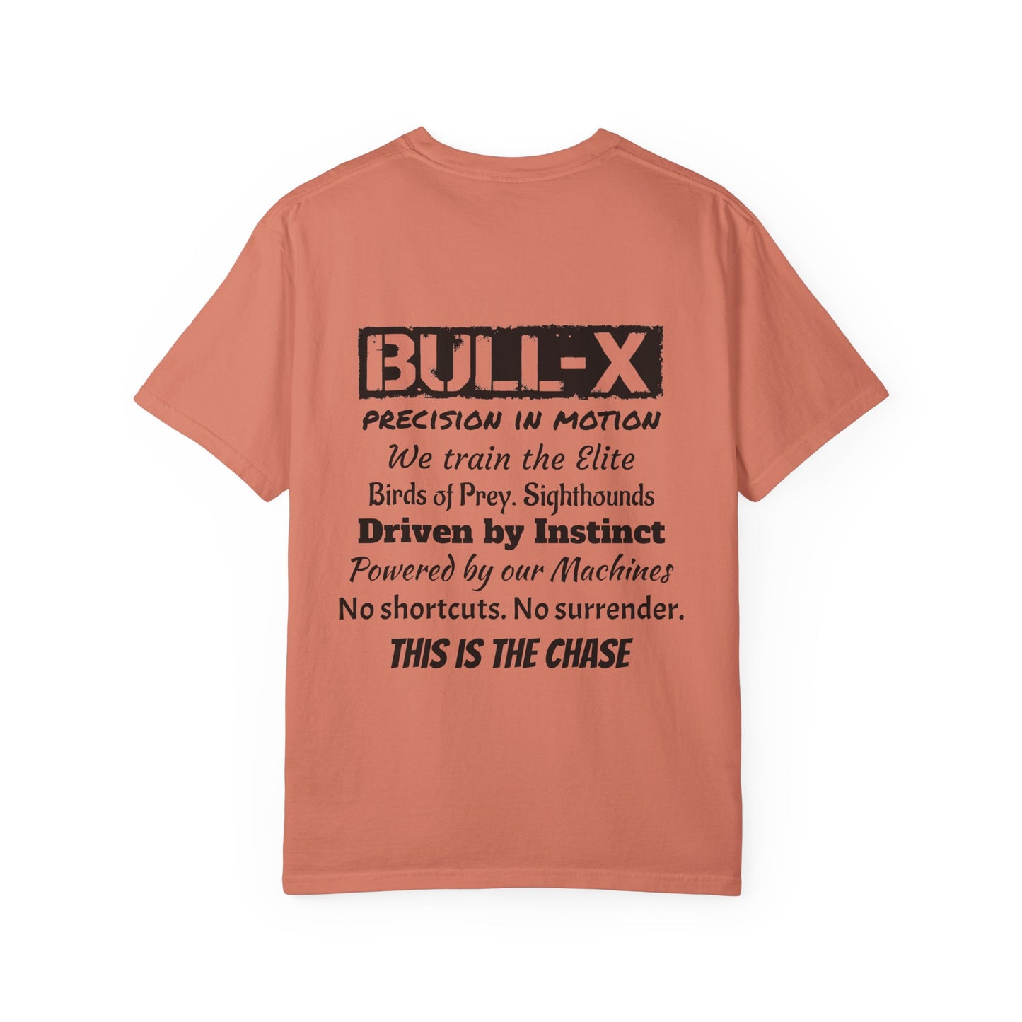 Description Unisex T-Shirt - Precision in Motion