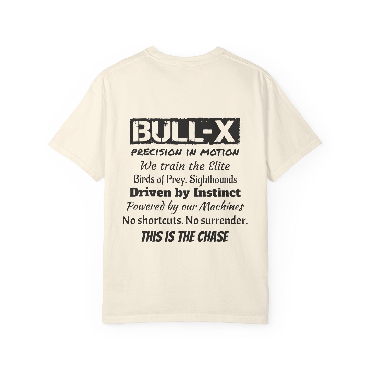 Description Unisex T-Shirt - Precision in Motion