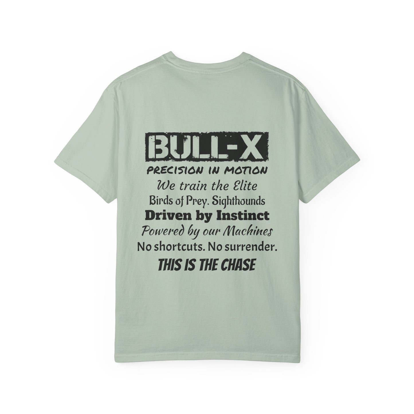 Description Unisex T-Shirt - Precision in Motion