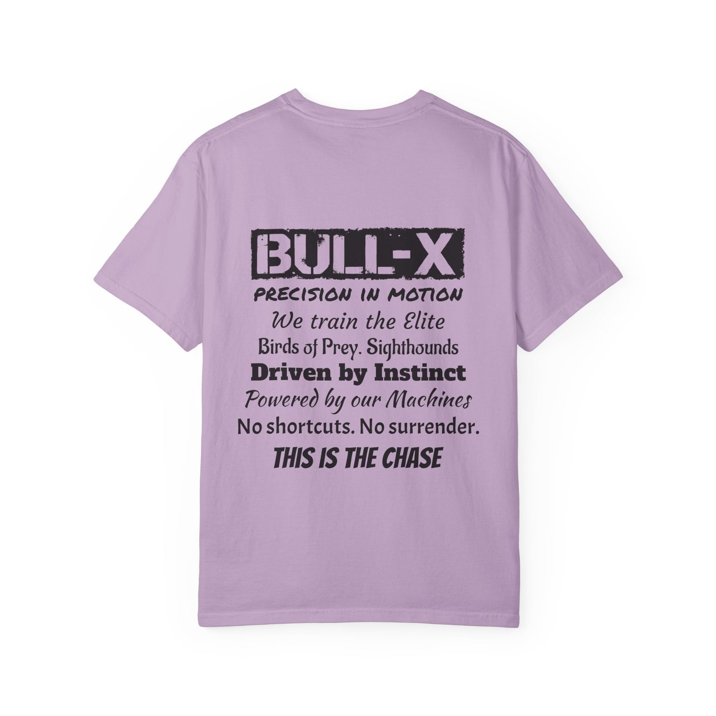 Description Unisex T-Shirt - Precision in Motion