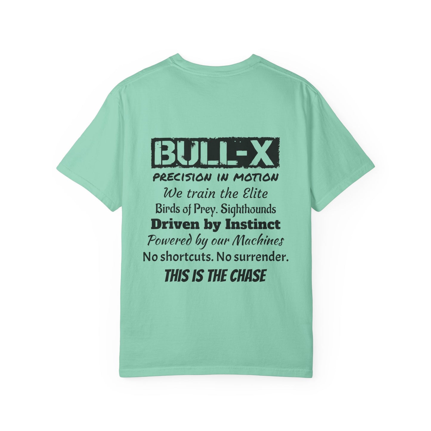 Description Unisex T-Shirt - Precision in Motion