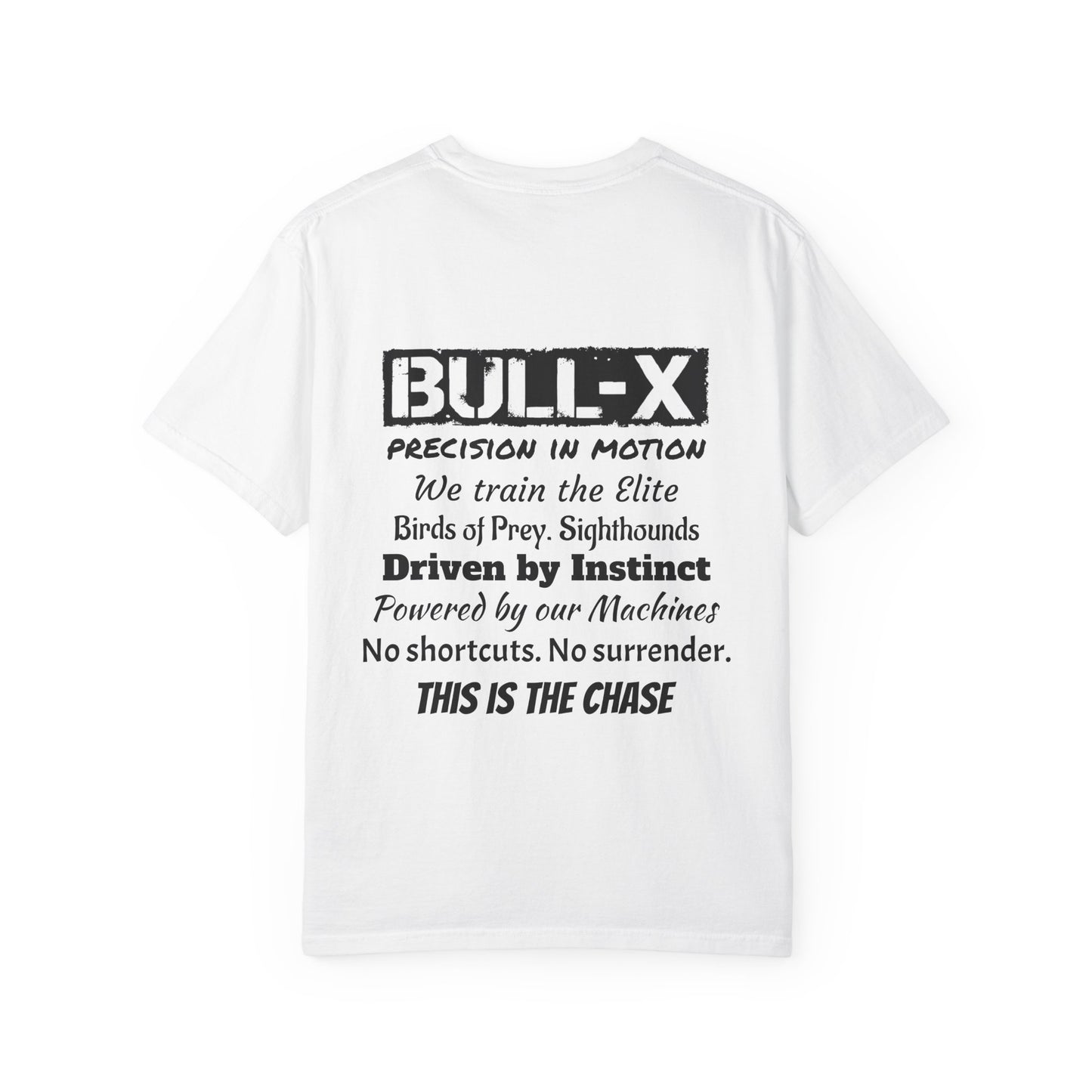 Description Unisex T-Shirt - Precision in Motion