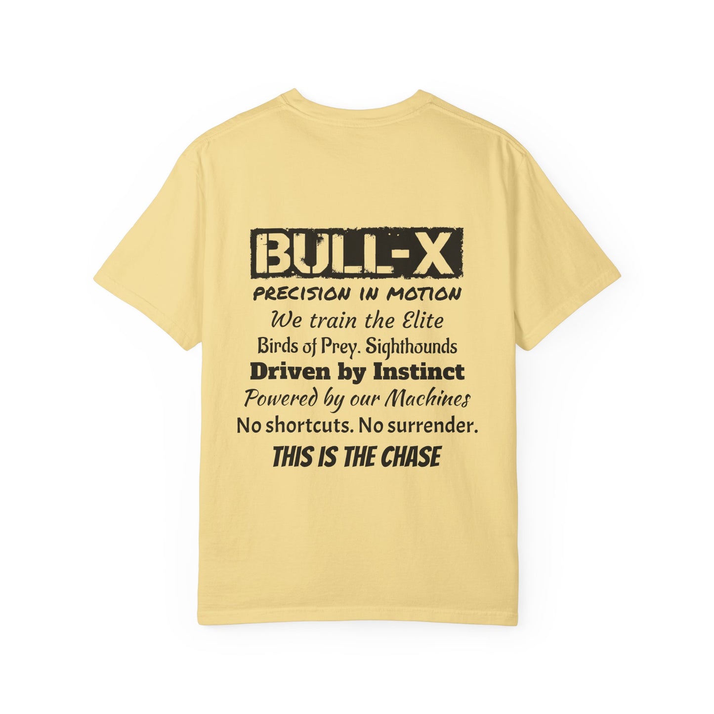 Description Unisex T-Shirt - Precision in Motion