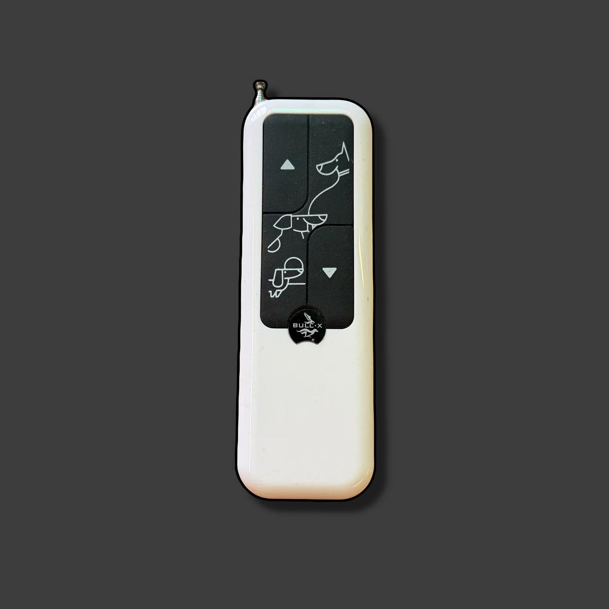 Mini ‘Lite’ Remote