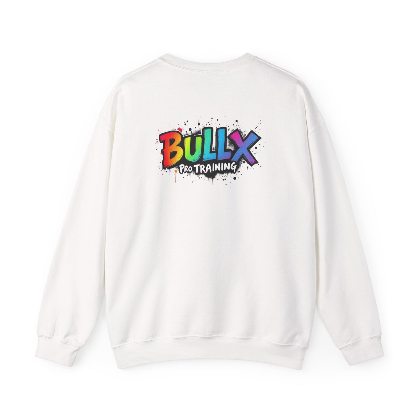 Colorful Crewneck Sweatshirt