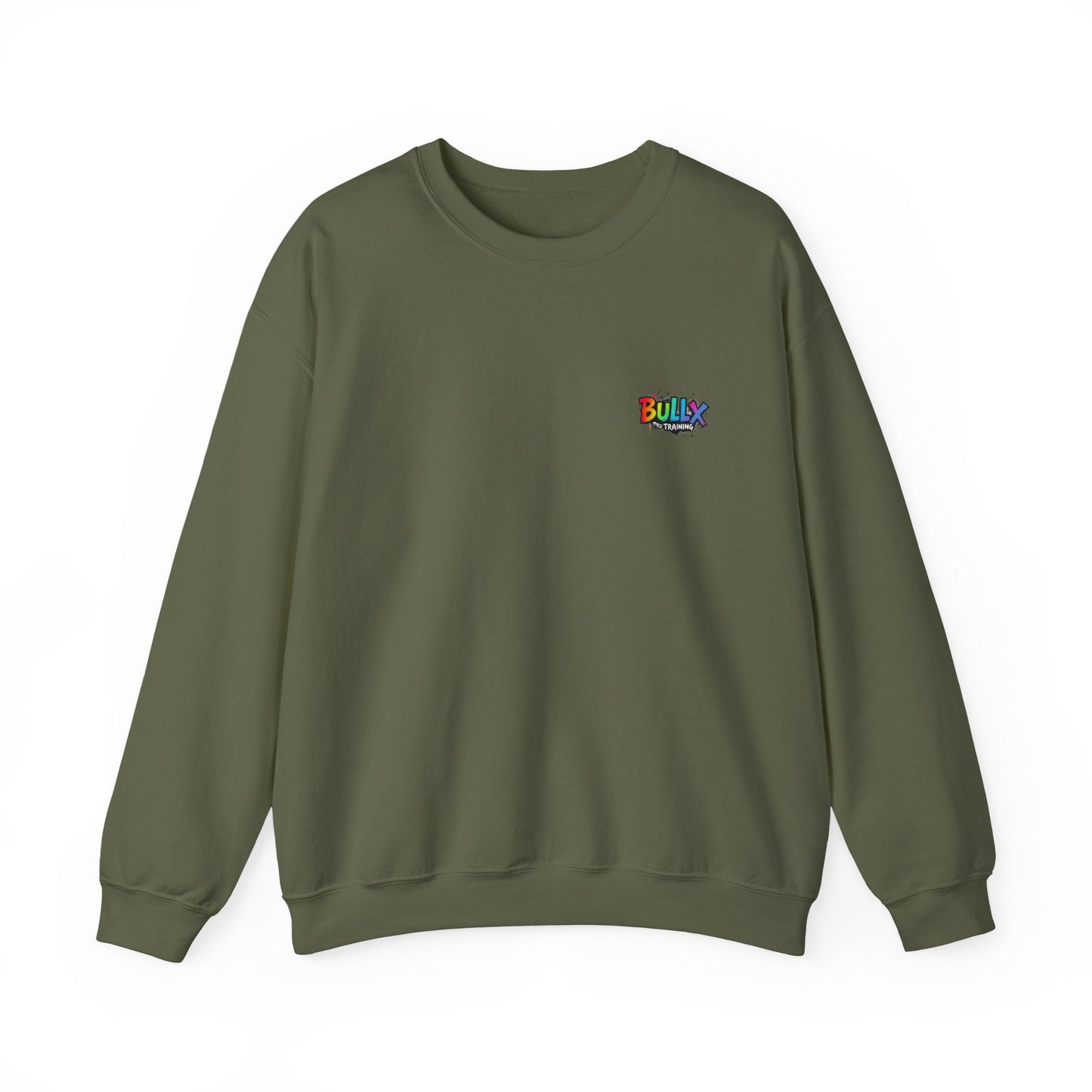 Colorful Crewneck Sweatshirt