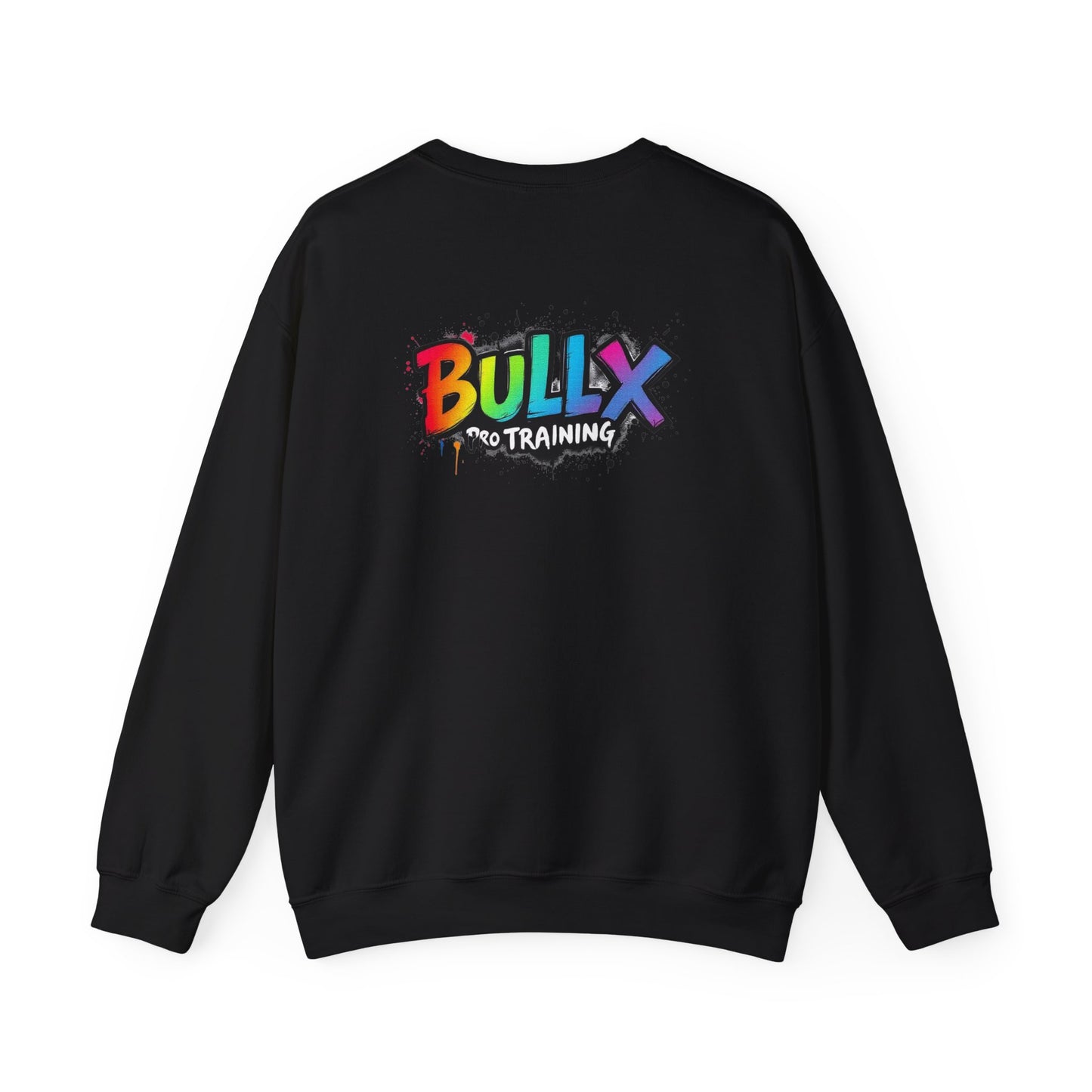 Colorful Crewneck Sweatshirt