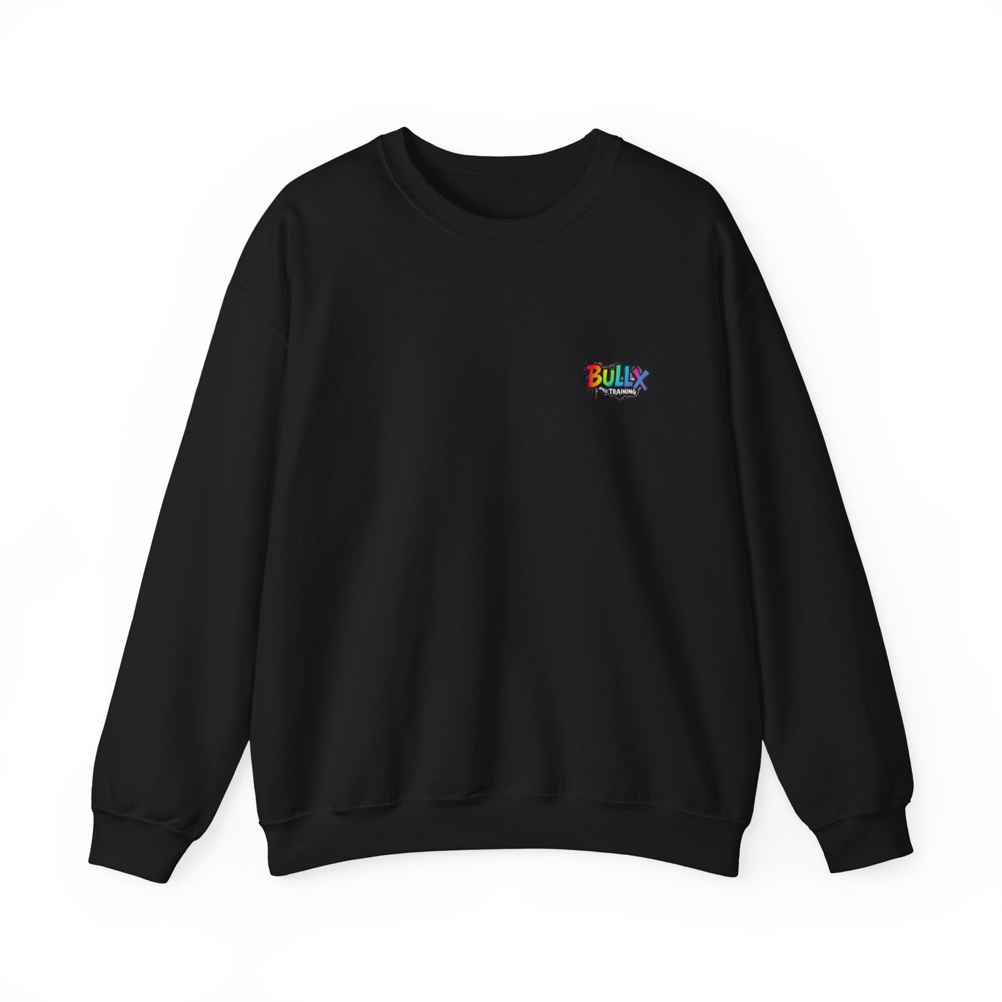 Colorful Crewneck Sweatshirt