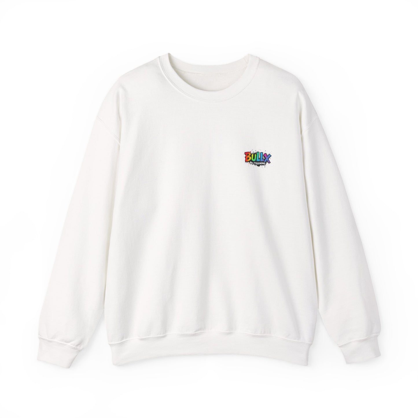Colorful Crewneck Sweatshirt