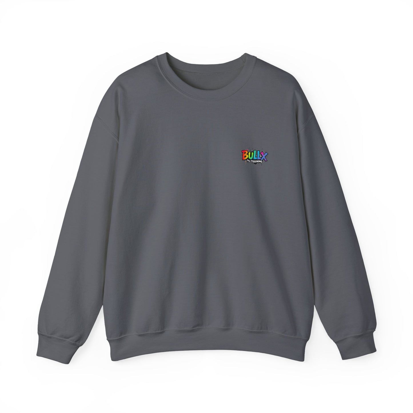 Colorful Crewneck Sweatshirt