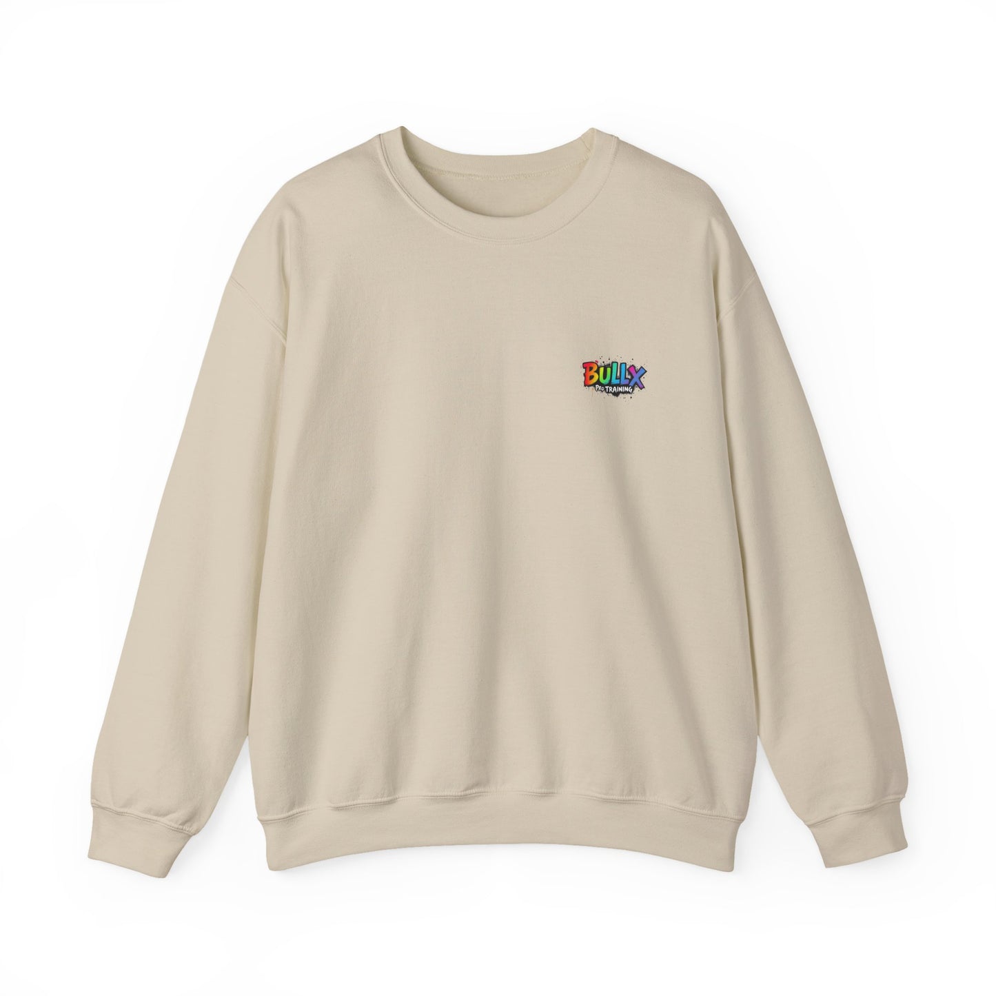 Colorful Crewneck Sweatshirt
