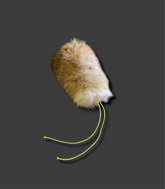 Mini ‘Lite’ RAT Lure
