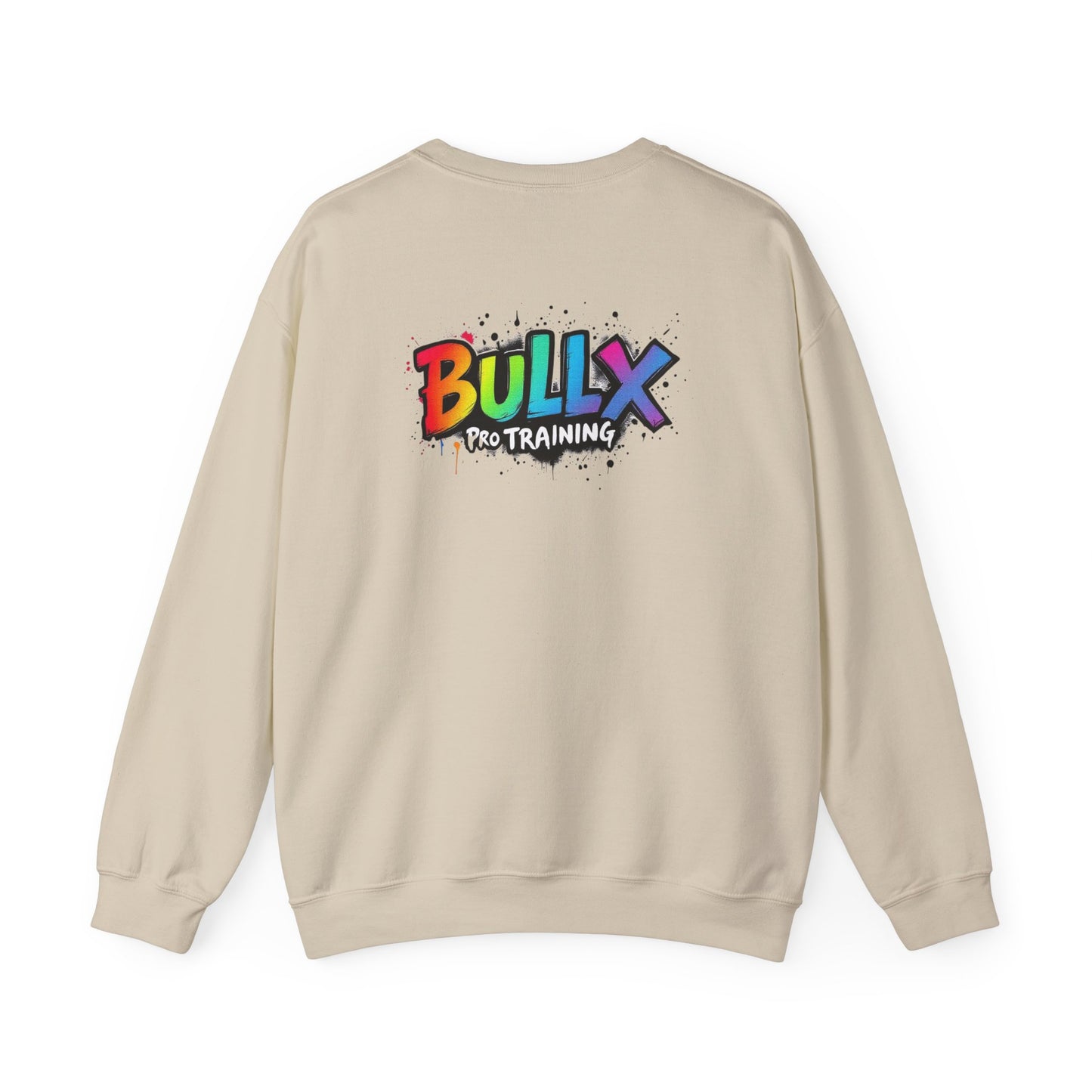 Colorful Crewneck Sweatshirt