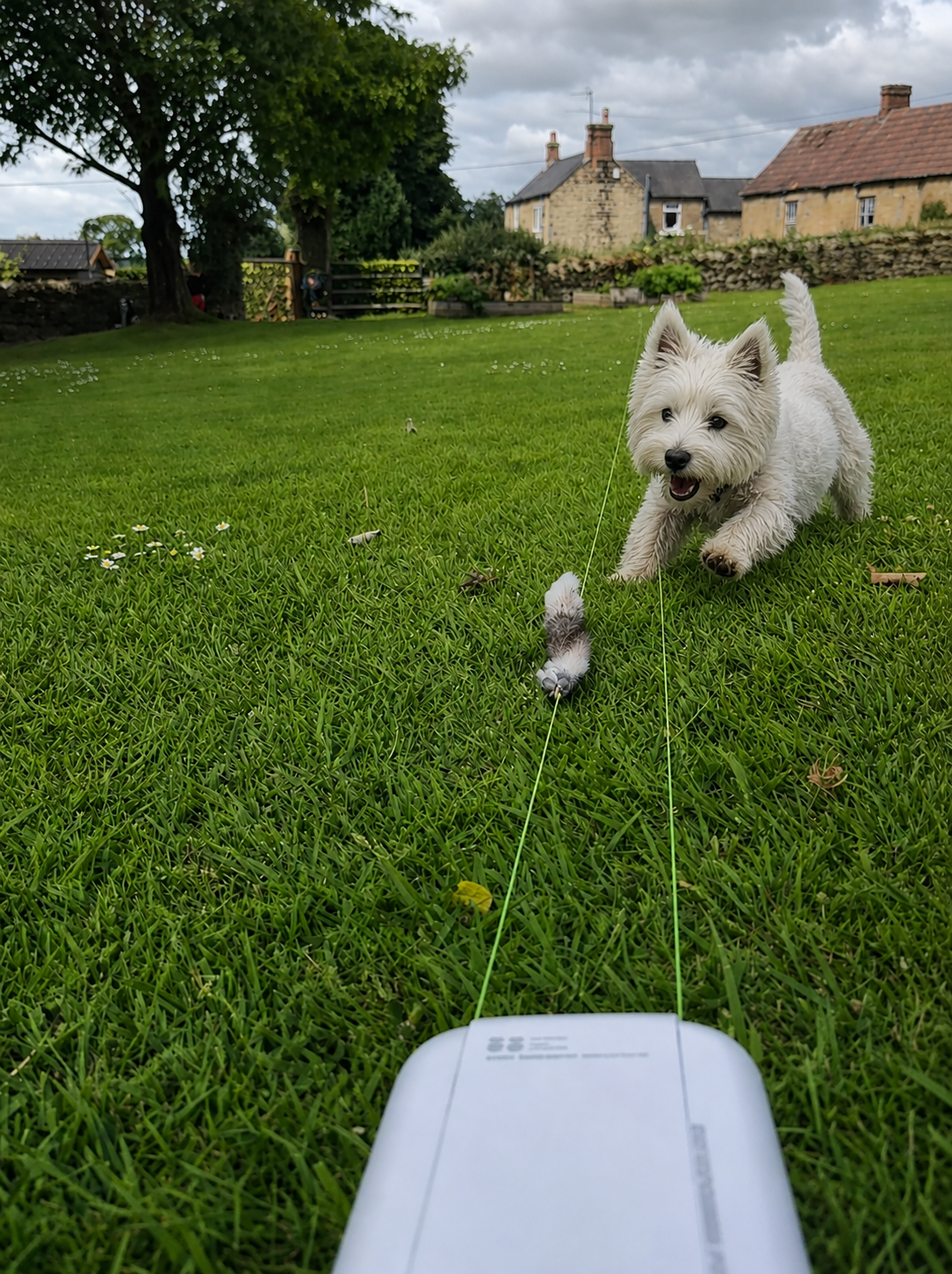 BullX Mini Lite